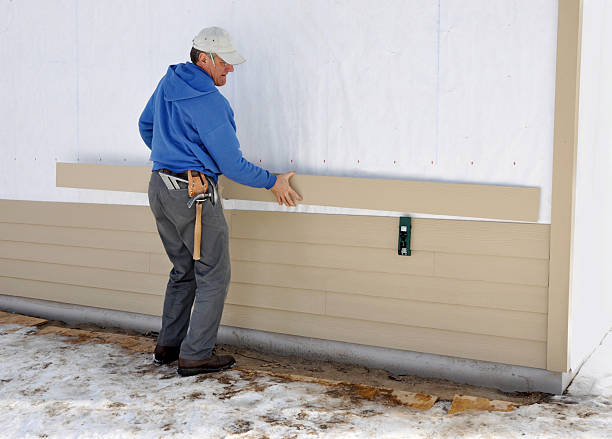 Best Brick Veneer Siding  in Durant, MS