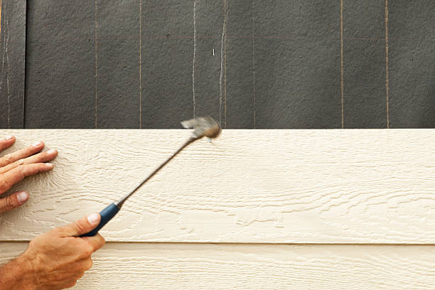Best Siding Maintenance  in Durant, MS